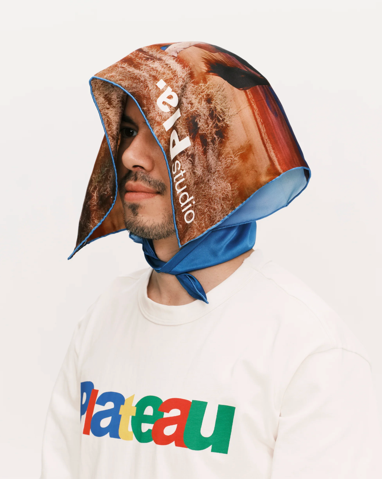 Silk Scarf  "Horse"