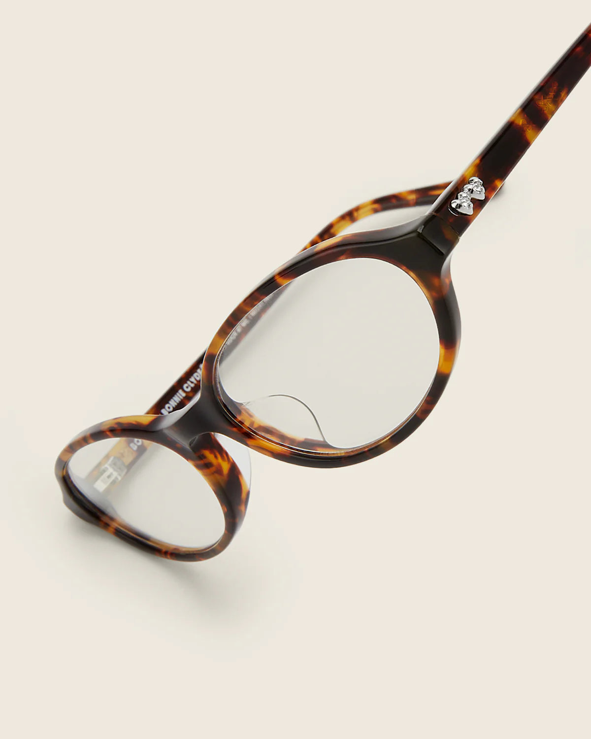 Bigger Baby Tortoise & Clear Lens